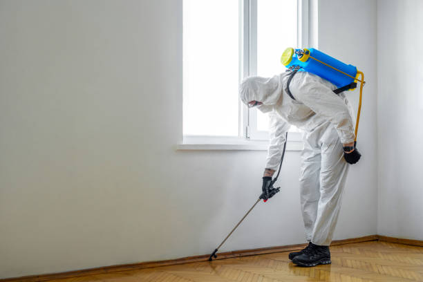 Reliable North Wildwood, NJ Pest Control Solutions